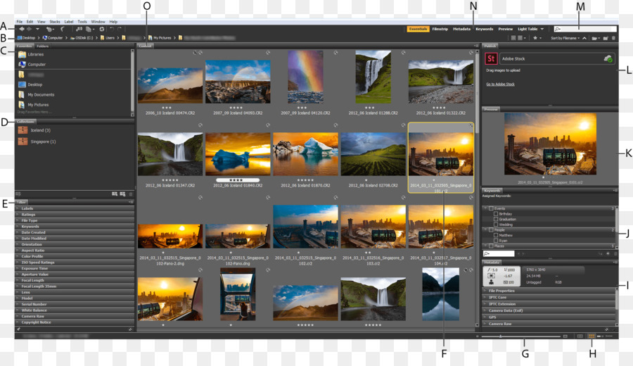 O Software Dos Gráficos De，O Adobe Bridge PNG