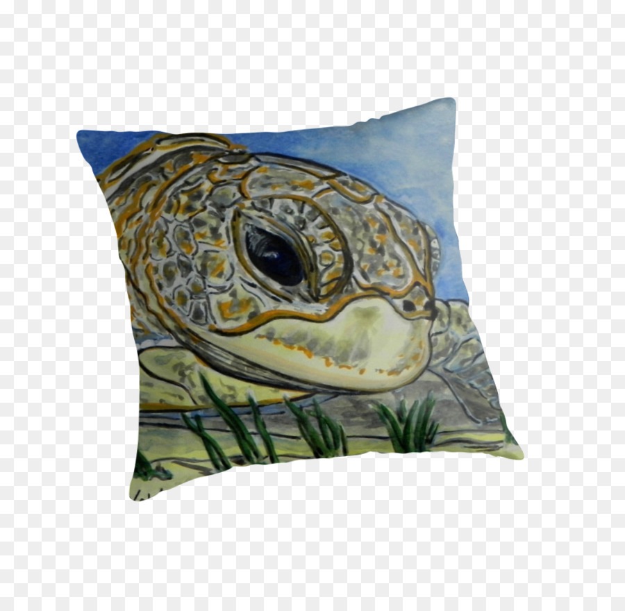 Tartaruga，Lançar Travesseiros PNG