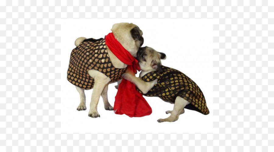 Dois Pugs Fantasiados，Cães PNG