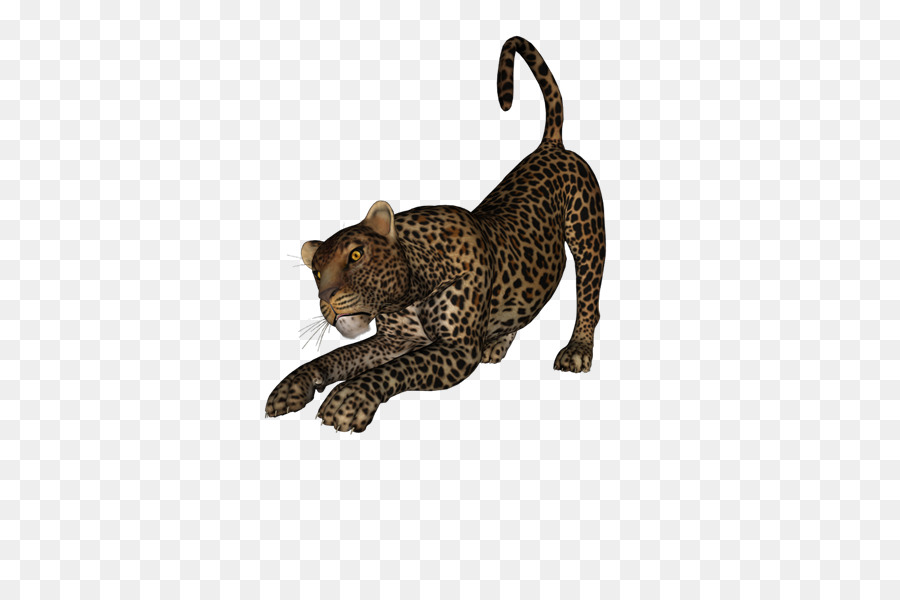 Leopard，Cheetah PNG