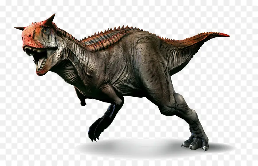 Carnotaurus，Tiranossauro PNG