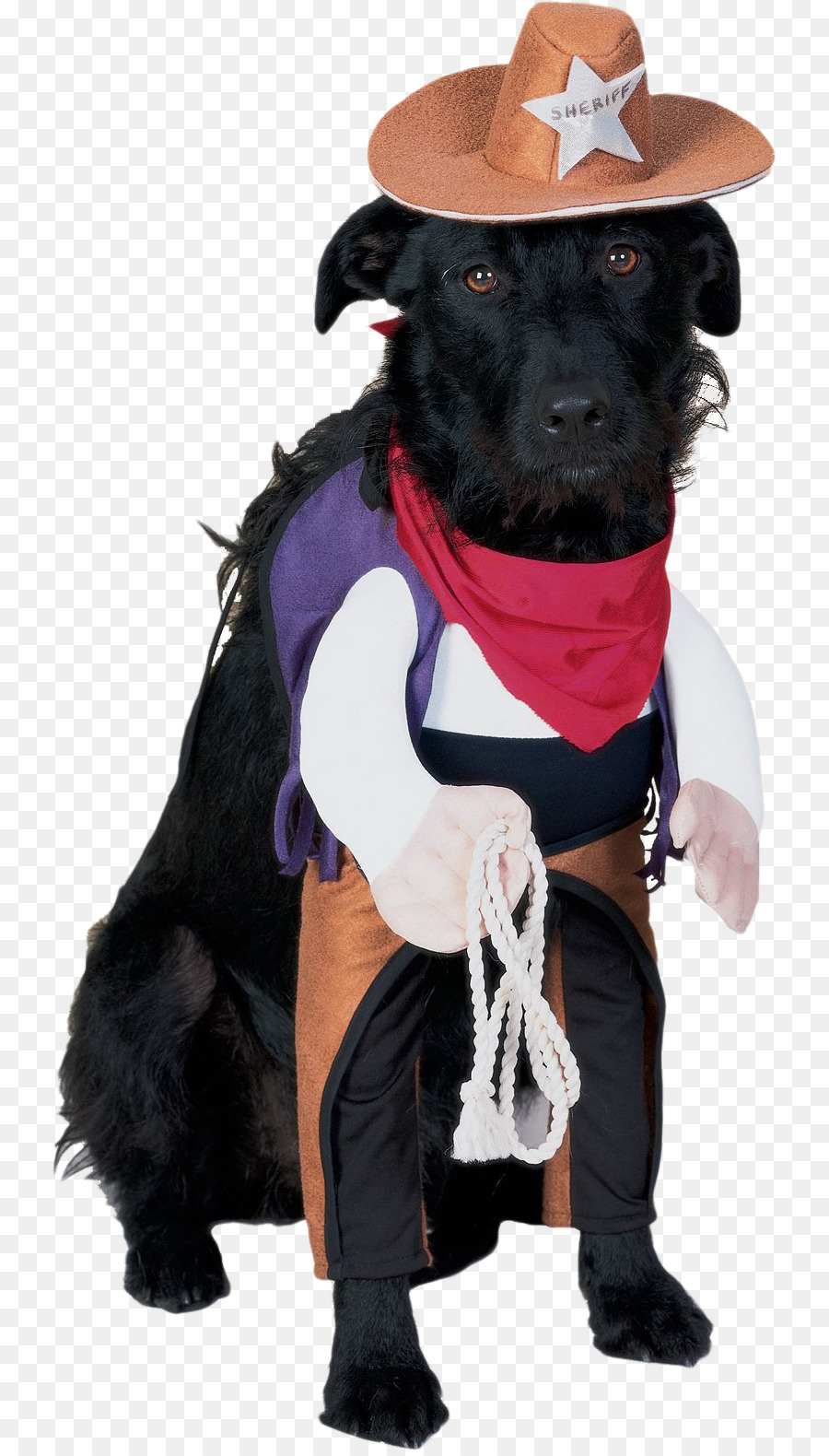 Cachorro Fantasiado De Cowboy，Chapéu PNG