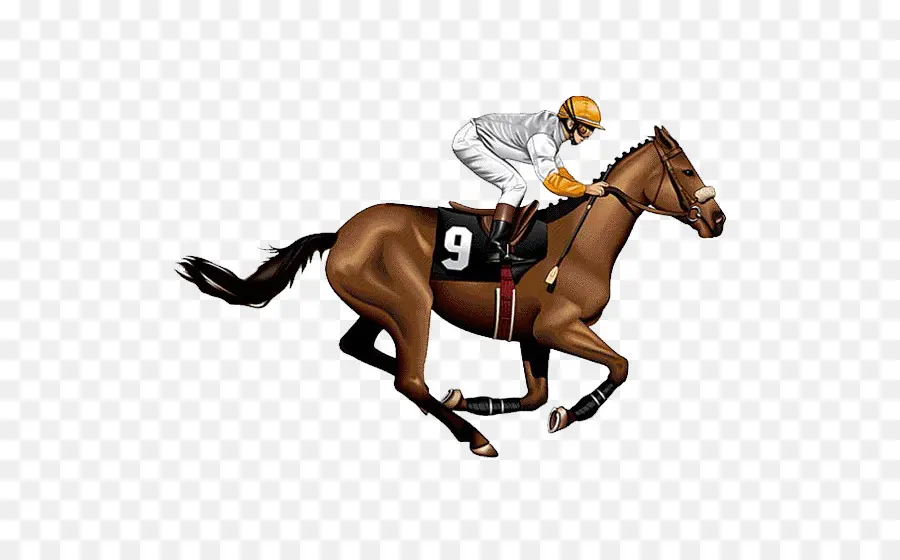 Kentucky Derby，Cavalo PNG