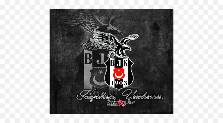 O Besiktas Jk Time De Futebol，Mercado PNG