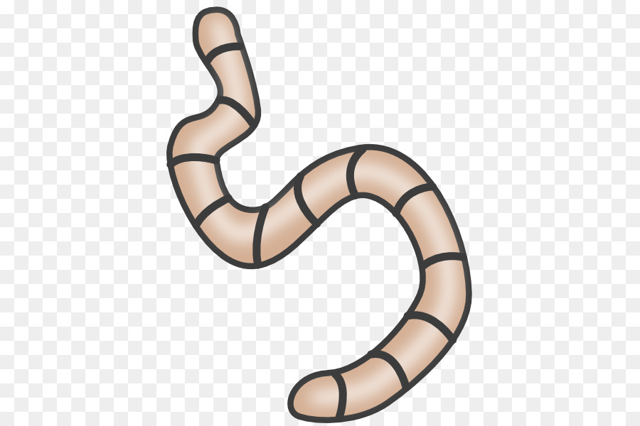 Worm，Minhoca PNG