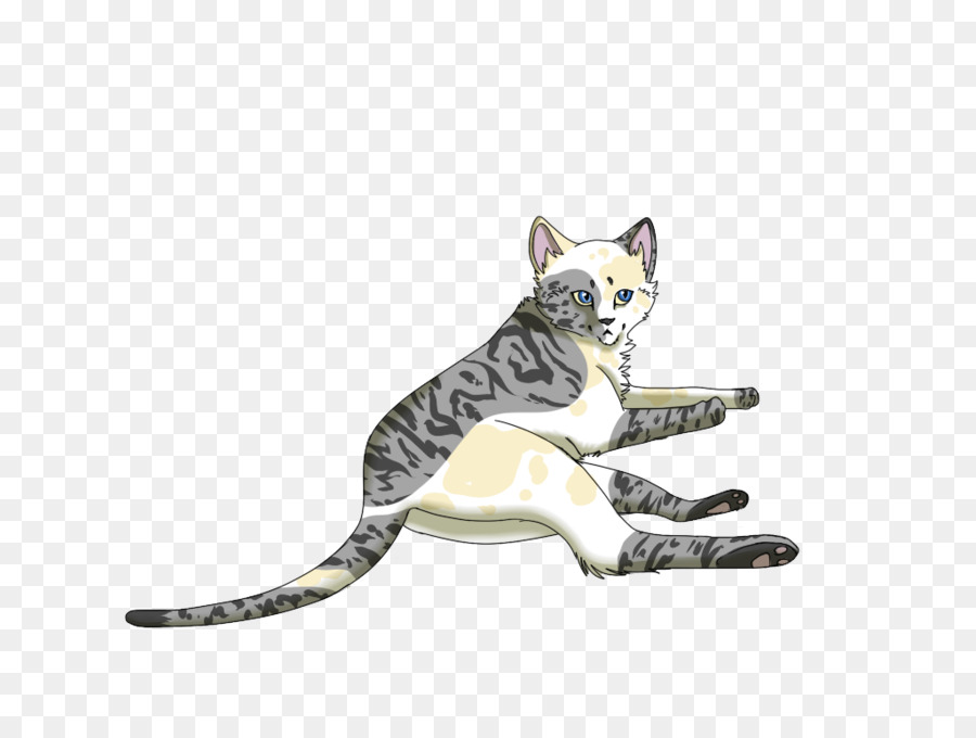 Gato Malhado，Desenho PNG