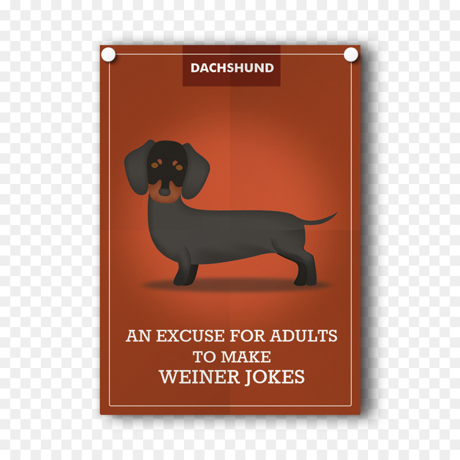 Dachshund，Cão De Largura PNG