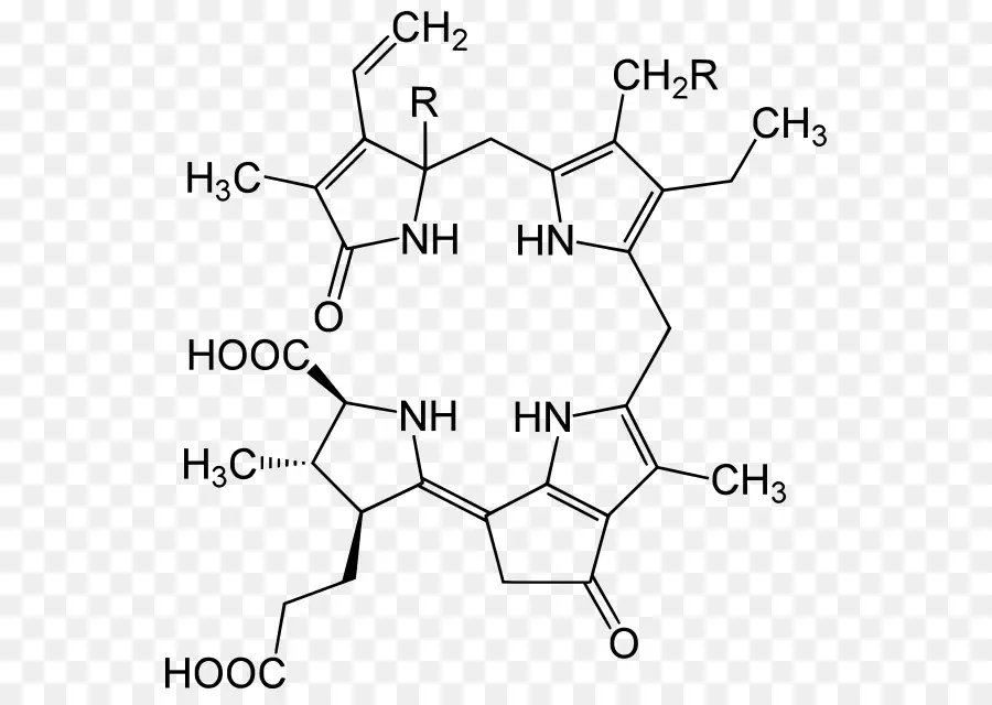 Estrutura Química，Molécula PNG