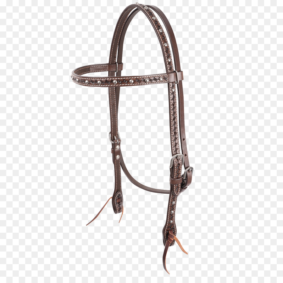 Refrear，Cavalo PNG