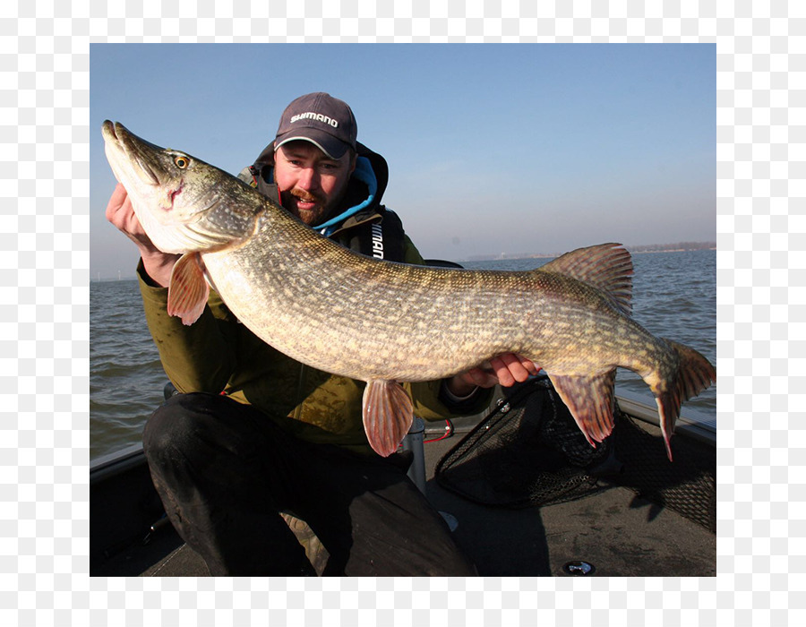 Northern Pike，Pesca PNG