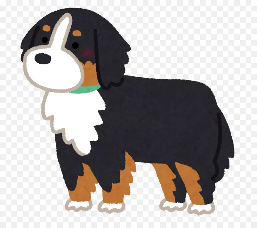 Bernese Mountain Dog，Raça Do Cão PNG