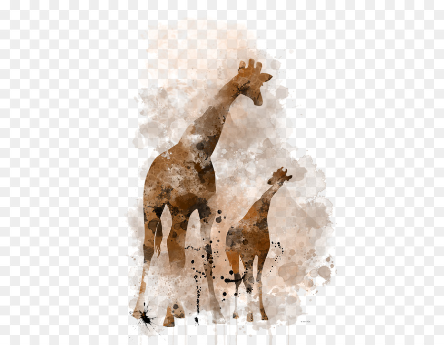 Girafa，Cavalo PNG