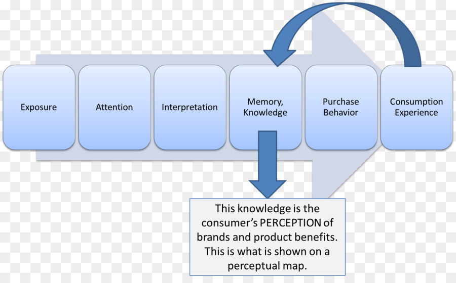 Diagrama De Comportamento Do Consumidor，Marketing PNG