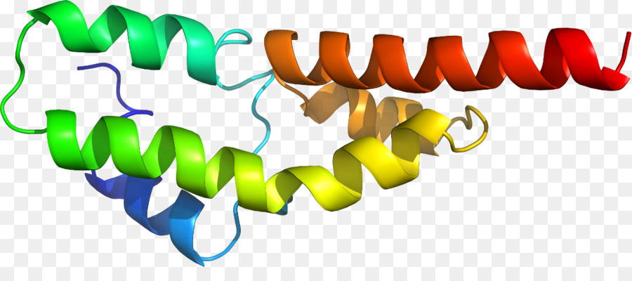 Hélice De Proteína，Molécula PNG