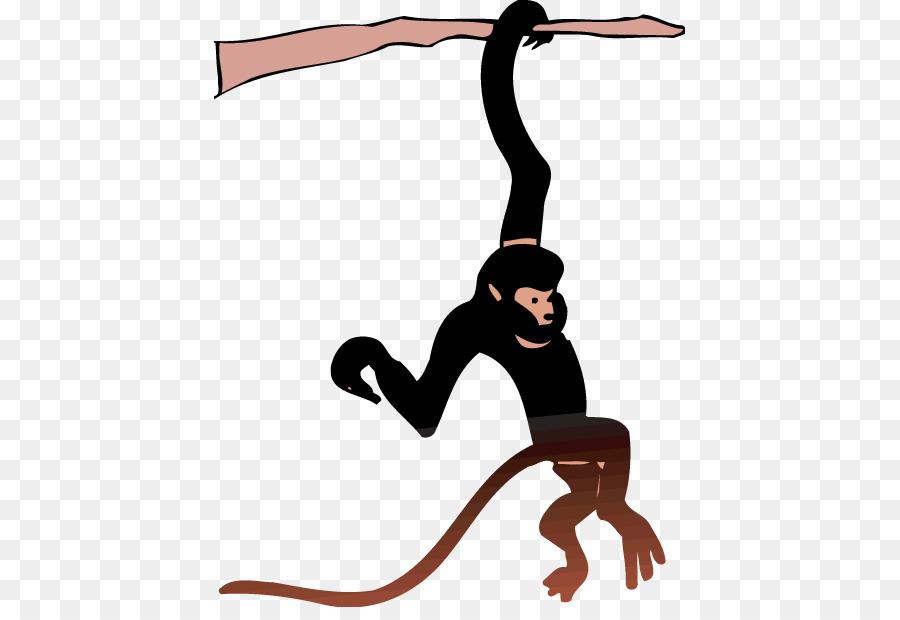 Ape，O Macaco Aranha PNG