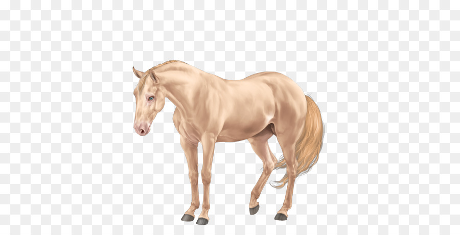 American Quarter Horse，Mane PNG