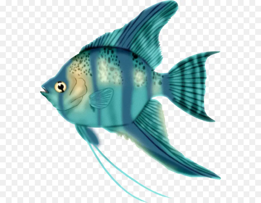 Peixe，Biologia Marinha PNG