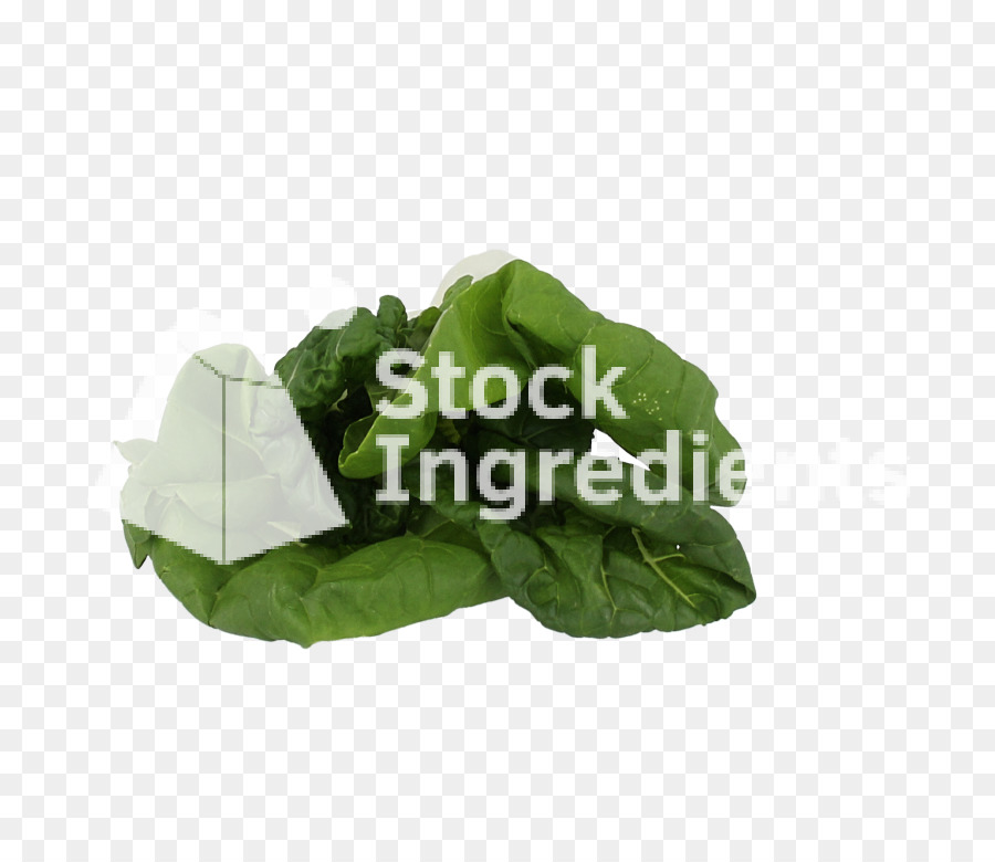 Folha Vegetal，Folha PNG