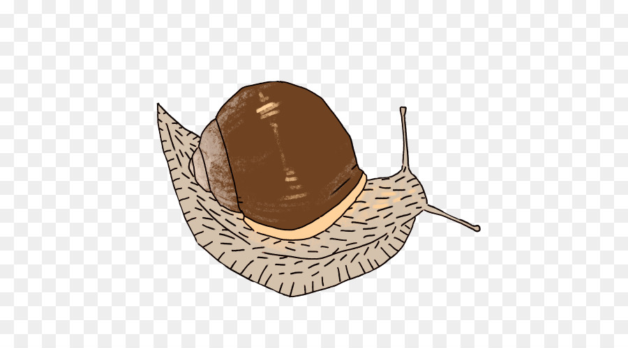 Chapéu，Caracol PNG