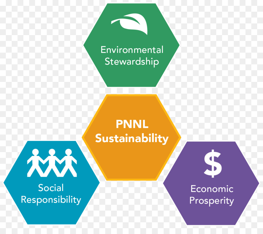 Sustentabilidade，Responsabilidade Social PNG