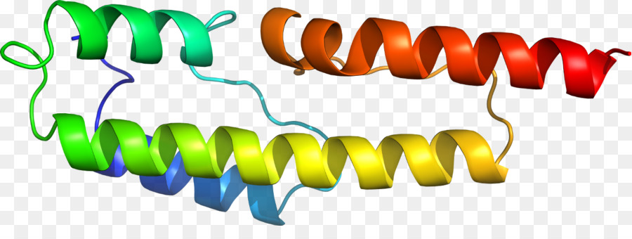 Hélice De Proteína，Molécula PNG