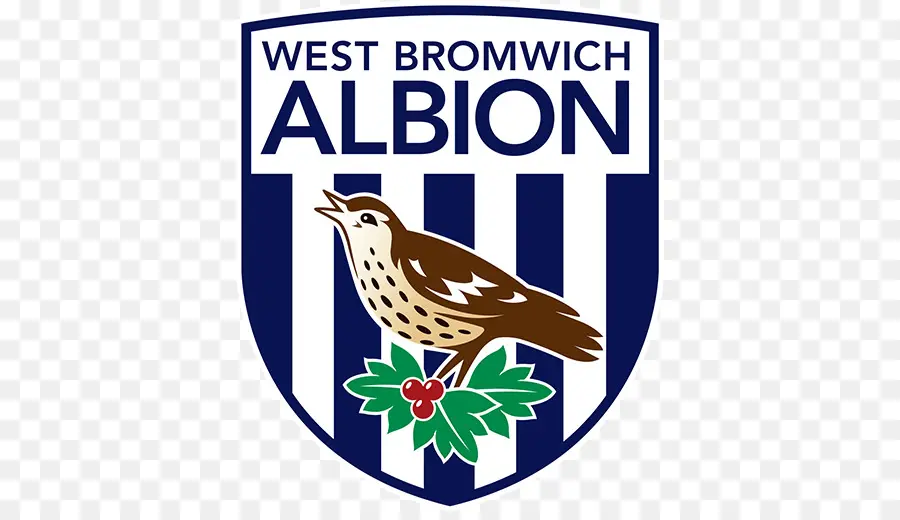 Hawthorns，O West Bromwich Albion Fc PNG