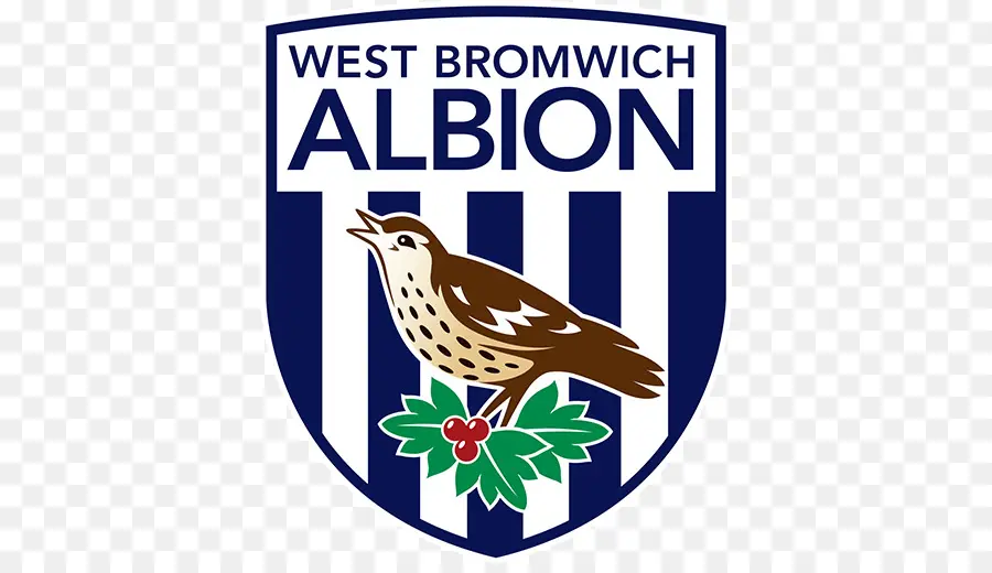 West Bromwich Albion，Futebol PNG