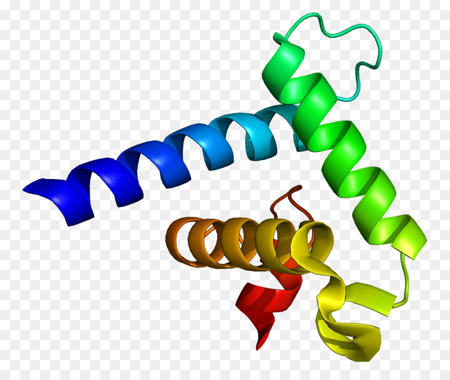 Crebbinding Proteína，P300cbp De Proliferação Família PNG