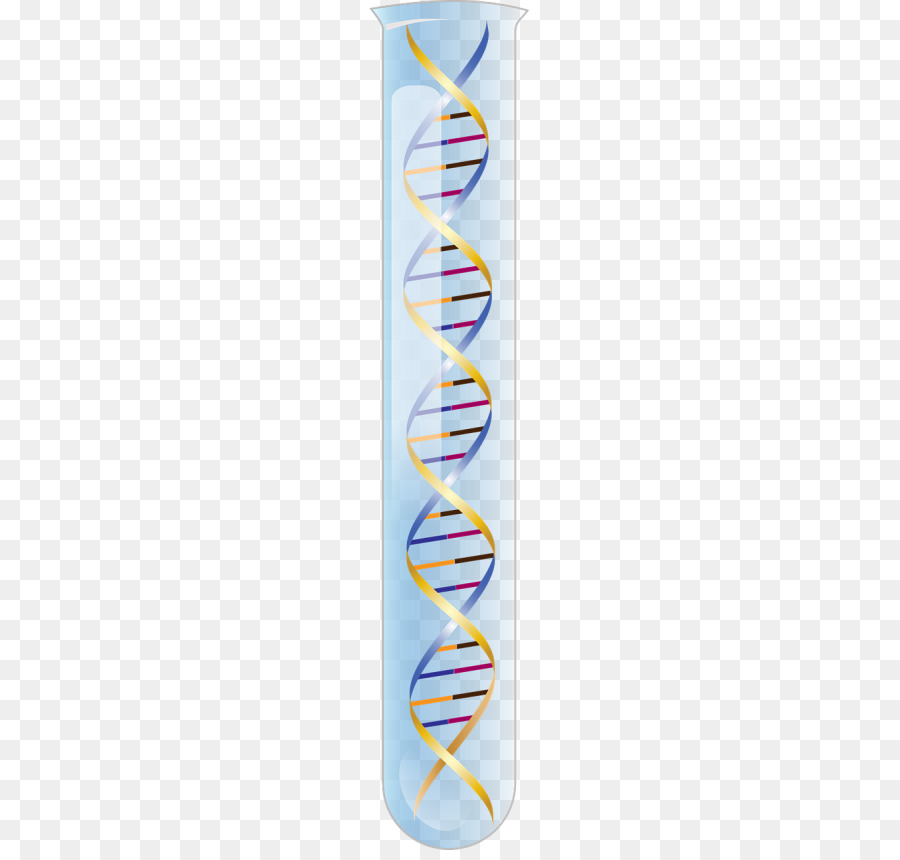 Dna Em Tubo De Ensaio，Hélice PNG