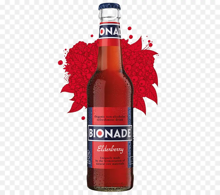 Bionada，Garrafa PNG