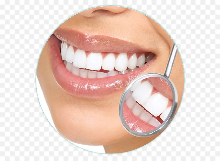 Odontologia，Dentista PNG
