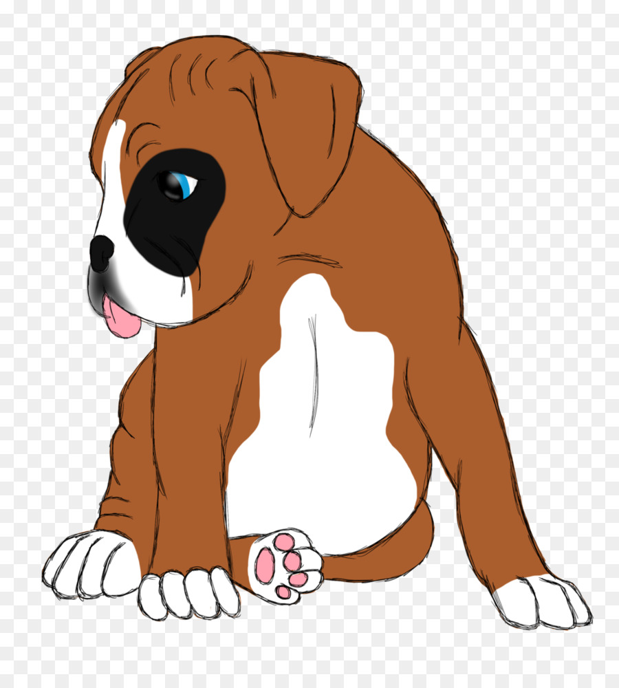 Raça Do Cão，Filhote De Cachorro PNG