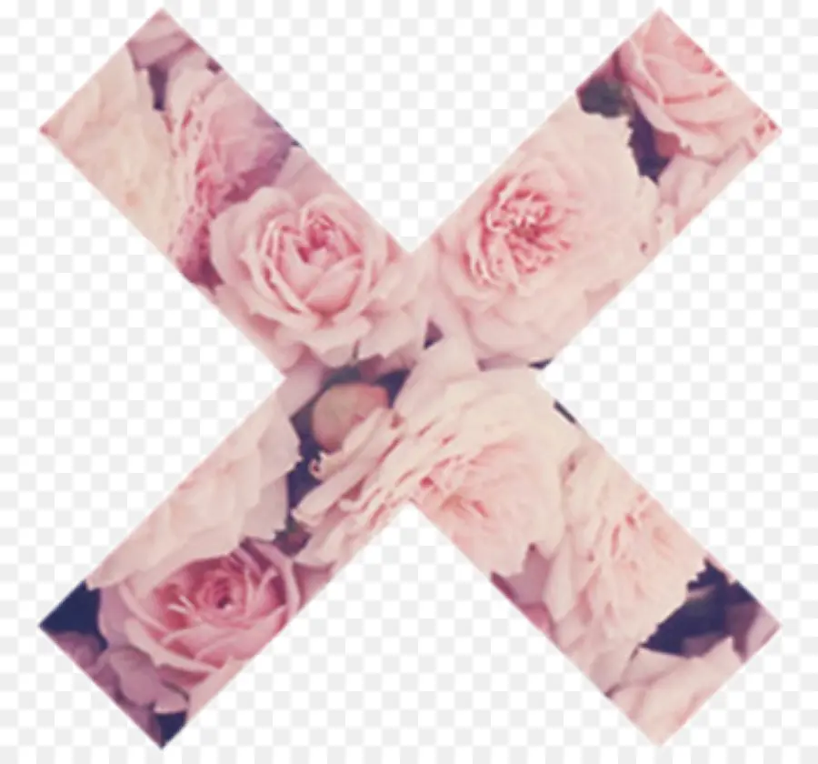 Floral X，Flores PNG