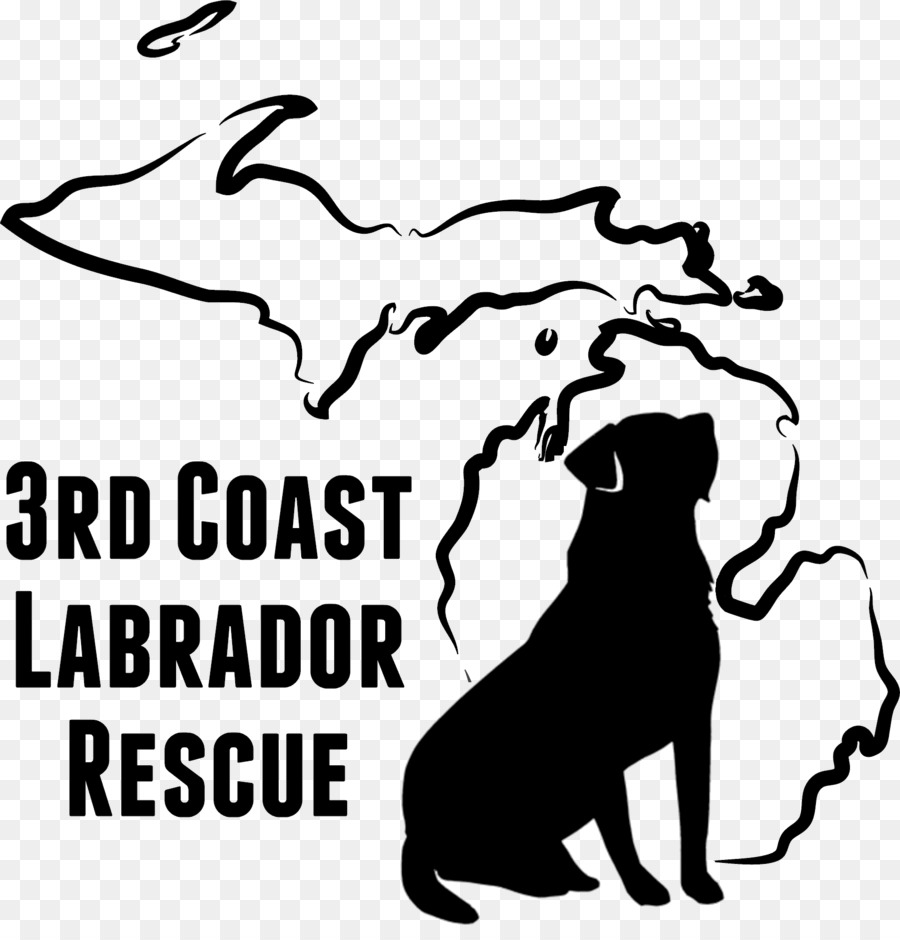 Labrador Retriever，Mecostaosceola Trânsito Auth PNG