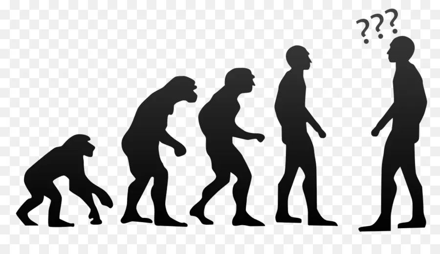 Evolução，Evolução Humana PNG