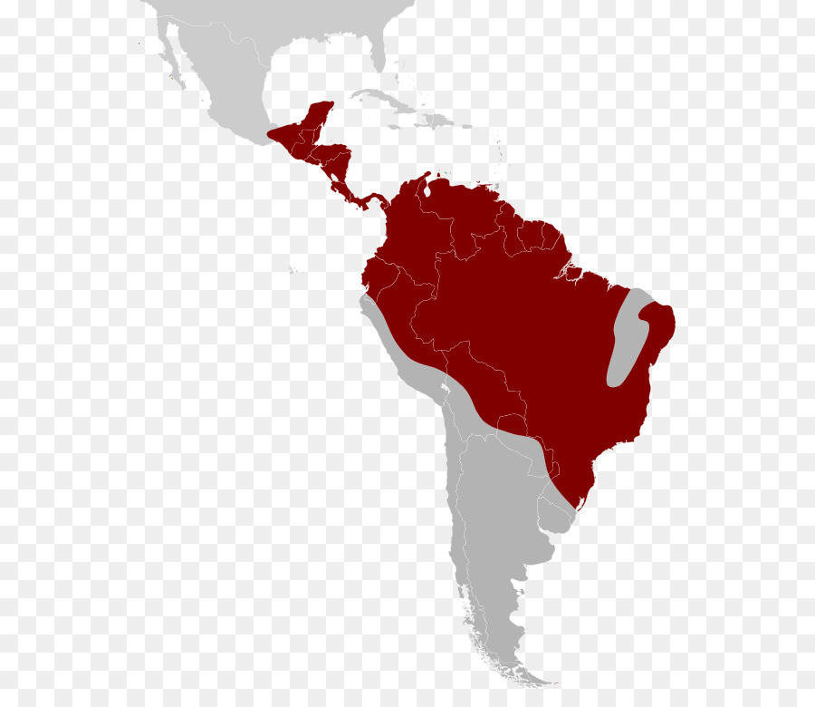 Mapa Da América Do Sul，Continente PNG