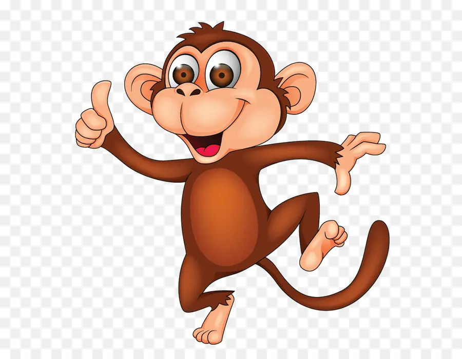 Macaco，Redfaced Macaco Aranha PNG