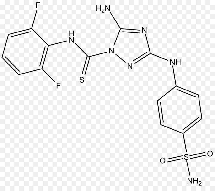 Cyclindependent Quinase，Cyclin PNG