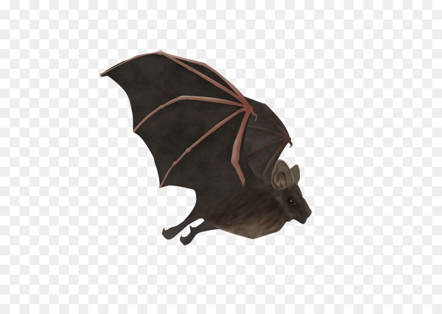 Batm，Bat PNG