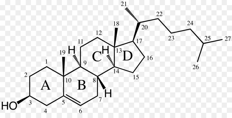 Sterol，Alkene PNG