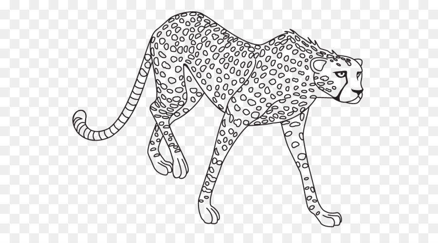 Lince，Gato Selvagem PNG