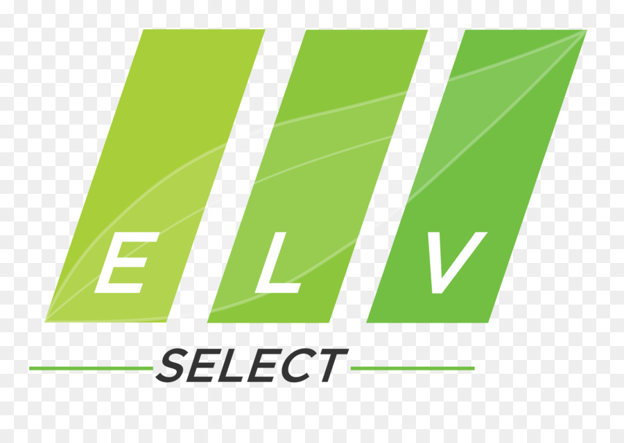 Logo，Vle Selecione Inc PNG