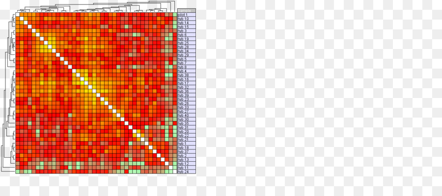 Outliers，Medicina PNG