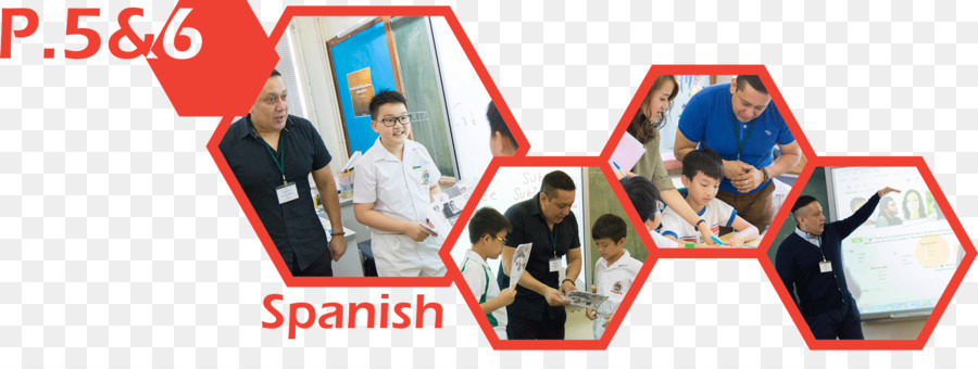 São José Anglochinese Escola Primária，Design Gráfico PNG