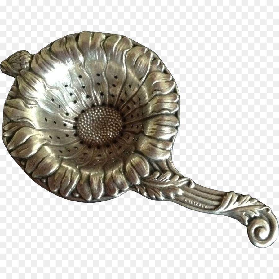 01504，Nautilus PNG