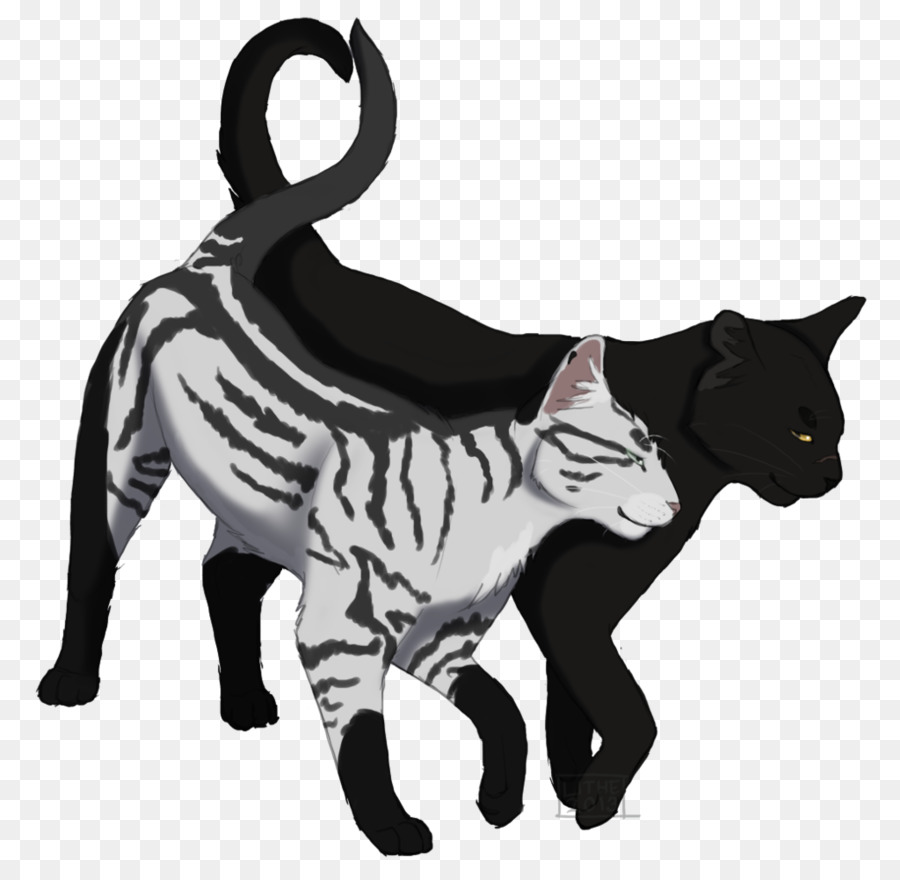 Gatos，Gato Preto PNG