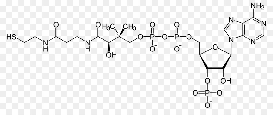 Estrutura Química，Molécula PNG