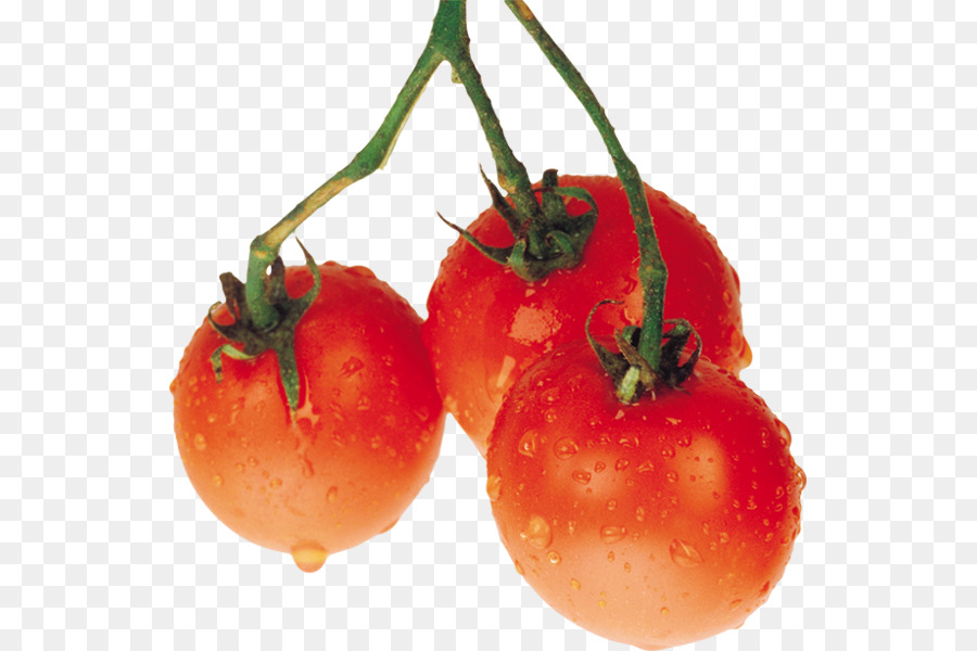 Tomate，Frutas PNG