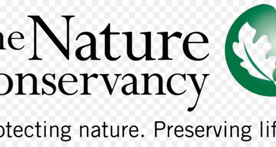 Logotipo Da Conservação Da Natureza，Natureza PNG