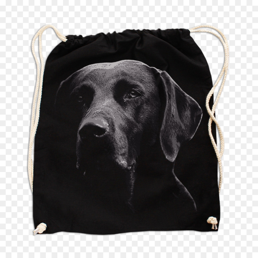 Mochila，Tshirt PNG